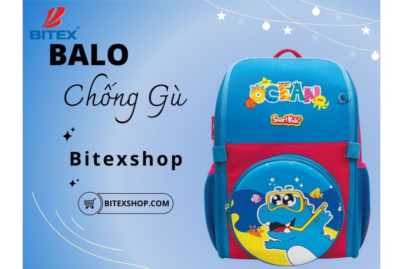 Nên mua ba lô chống gù thương hiệu nào để có chất lượng và an toàn?