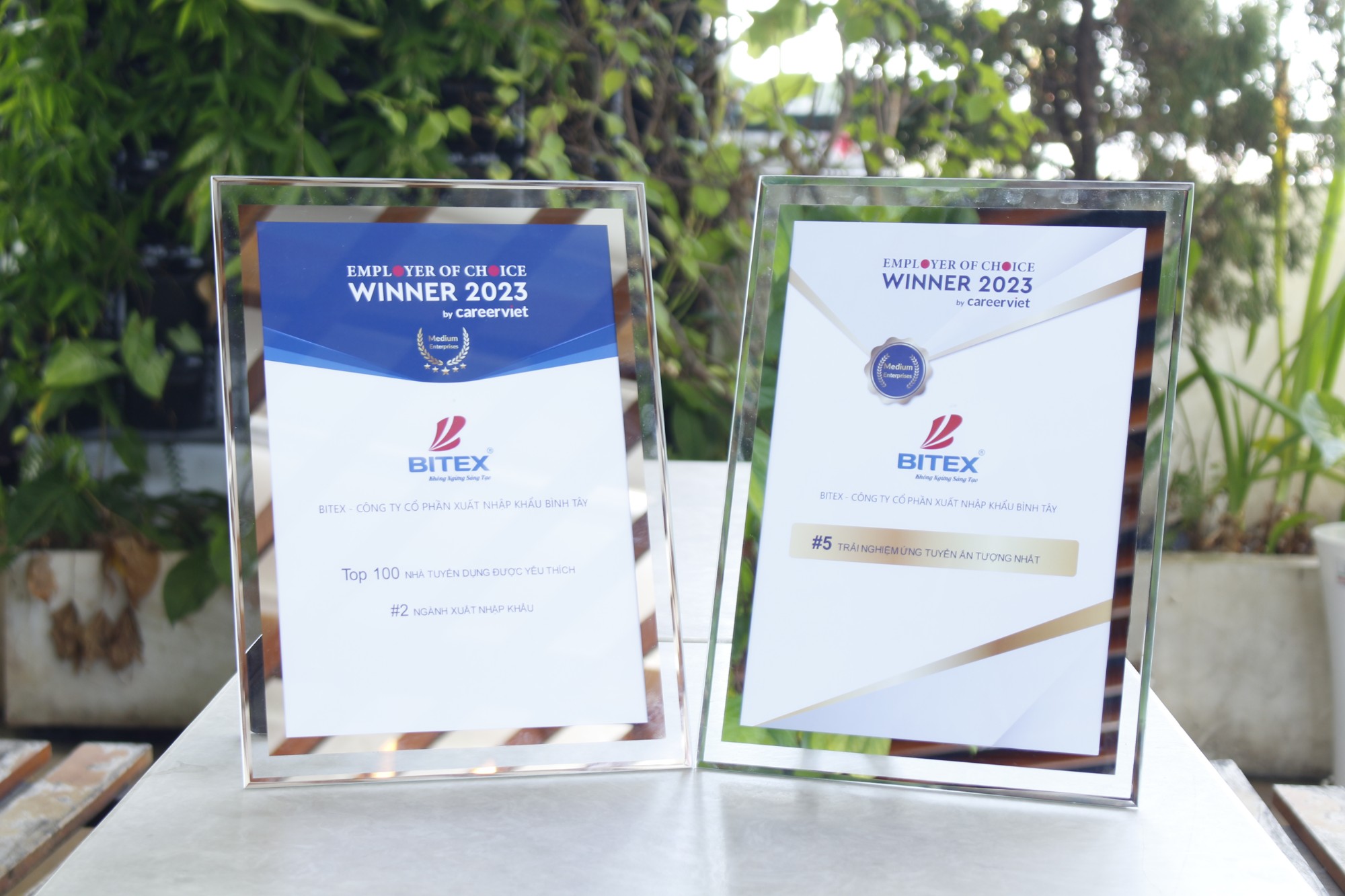 Hai bằng khen BITEX nhận được trong lễ vinh danh 'Top 100 nhà tuyển dụng được yêu thích'
