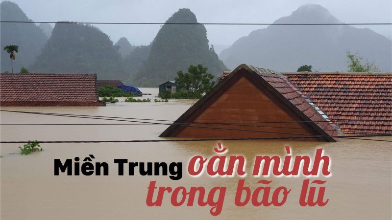 bao-lu-bia_stdx
